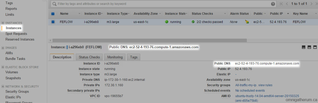 Figure 2.6 The location of the Public DNS address in the AWS Console